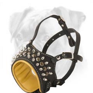 Designer Leather Boxer Muzzle with Studs and Spikes Designer Leather Boxer Muzzle with Studs and Spikes