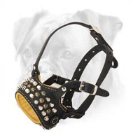 Exclusive Nappa Padded Leather Muzzle with Studs and Pyramids for Boxer Exclusive Nappa Padded Leather Muzzle with Studs and Pyramids for Boxer