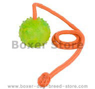 Training DOG BALL on a String-Dog Rubber Ball for Boxer