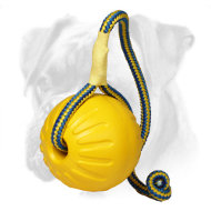 Foam Boxer Ball for Training 'High Fly' for Large Dogs Foam Boxer Ball for Training 'High Fly' for Large Dogs