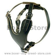 Heavy Duty Dog Harness for Boxer