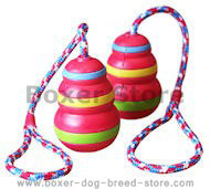 Kong Sport Dog Training Toys - Boxer Dog Toy Training