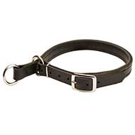 2 Ply Leather Boxer Choke Collar with Lasting Hardware 2 Ply Leather Boxer Choke Collar with Lasting Hardware