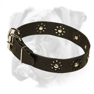 "Flower Blues" Boxer Leather Dog Collar "Flower Blues" Boxer Leather Dog Collar