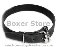 Leather Field Collar for Boxer