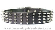 2 inch wide Leather Spiked Dog Collar for Boxer