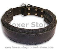 Leather dog collar padded with thick felt- Boxer