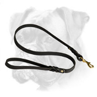 Super Strong Braided Leather Leash for Boxer Super Strong Braided Leather Leash for Boxer