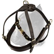 Marvelous Pulling/Tracking/Walking Harness for Active Boxer
