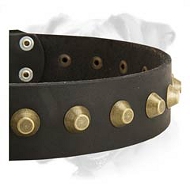 Leather Collar with Brass Pyramids for Boxer Leather Collar with Brass Pyramids for Boxer