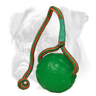 Chewing Boxer Foam Ball "Roll and Throw" Chewing Boxer Foam Ball "Roll and Throw"