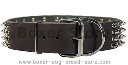 Boxer Spike Studded Dog Collar/2 inch wide Leather Studs collar