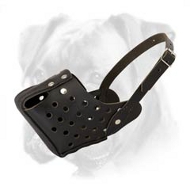 Best Agitation/Training Leather Boxer Muzzle for Successful Work Best Agitation/Training Leather Boxer Muzzle for Successful Work