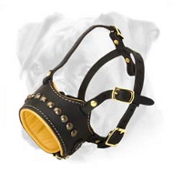 Studded Leather Muzzle with Soft Nappa Padding for Boxer Breed Studded Leather Muzzle with Soft Nappa Padding for Boxer Breed