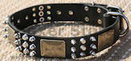 Gorgeous Leather Dog Collar - Best Spiked Dog Collar for Boxer