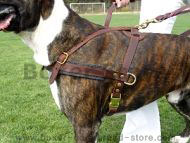Pulling-Agitation-Tracking Leather Dog Harness For Boxer