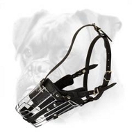 Professional Wire Basket Muzzle for Boxer Professional Wire Basket Muzzle for Boxer