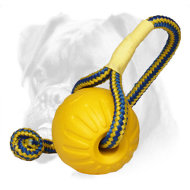 Foam Boxer Bite Ball for Training "Go and Get It" for Medium Dogs Foam Boxer Bite Ball for Training "Go and Get It" for Medium Dogs