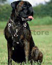 Handmade dog harness,leather dog harness,custom dog harness,best dog harness