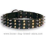 Spiked dog collar with studs - Studded dog collar with spikes