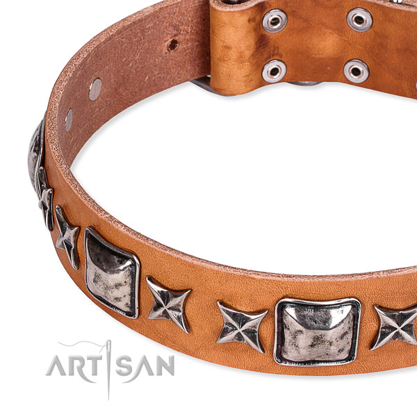 Stylish walking studded dog collar of fine quality full grain natural leather