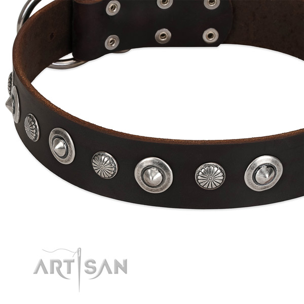 Unusual embellished dog collar of fine quality full grain natural leather