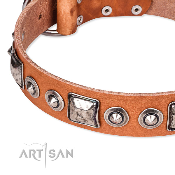 Flexible full grain natural leather dog collar handcrafted for your impressive doggie