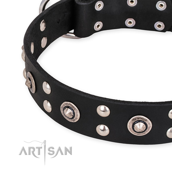 Full grain leather collar with corrosion proof fittings for your handsome four-legged friend
