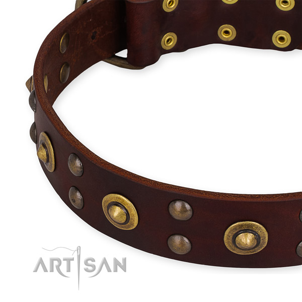 Leather collar with rust-proof buckle for your lovely pet