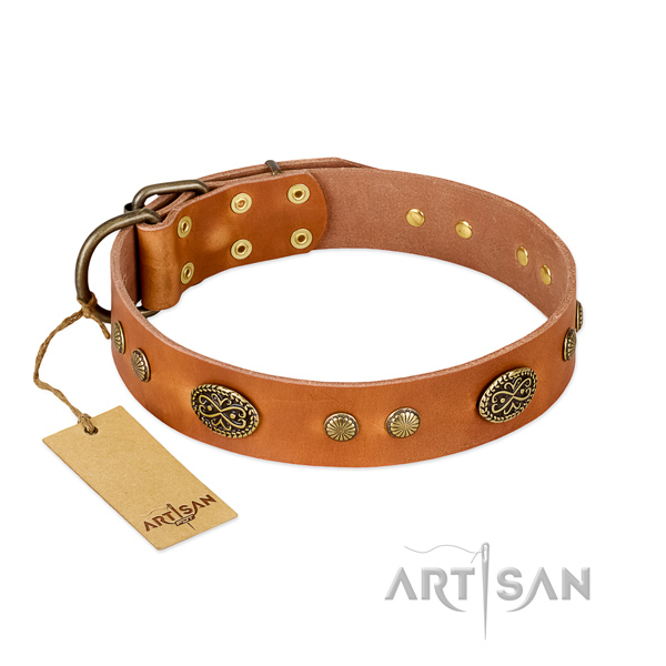 Corrosion proof decorations on Genuine leather dog collar for your dog