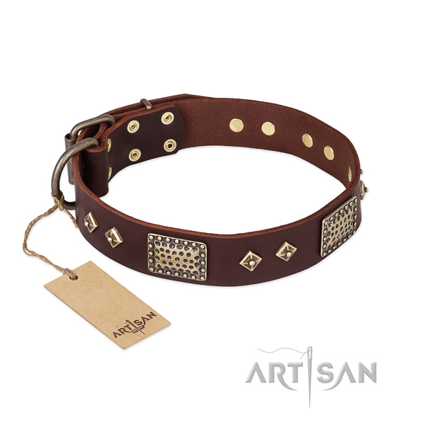 Studded full grain leather dog collar for everyday walking