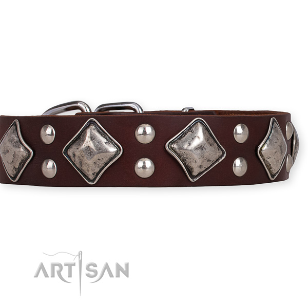 Genuine leather dog collar with stunning durable studs