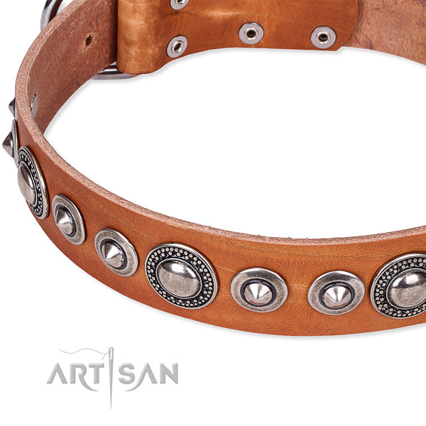 Comfy wearing studded dog collar of quality full grain leather