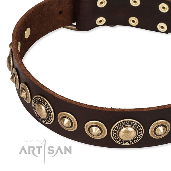 Strong full grain genuine leather dog collar created for your impressive canine