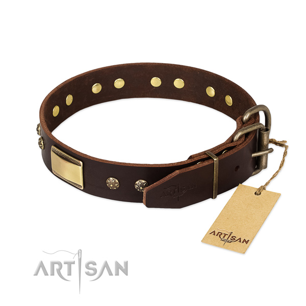Studded full grain leather collar for your canine