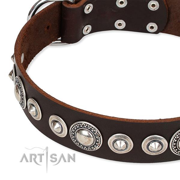 Comfy wearing adorned dog collar of quality full grain genuine leather