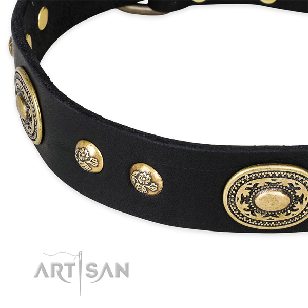 Decorated genuine leather collar for your beautiful pet
