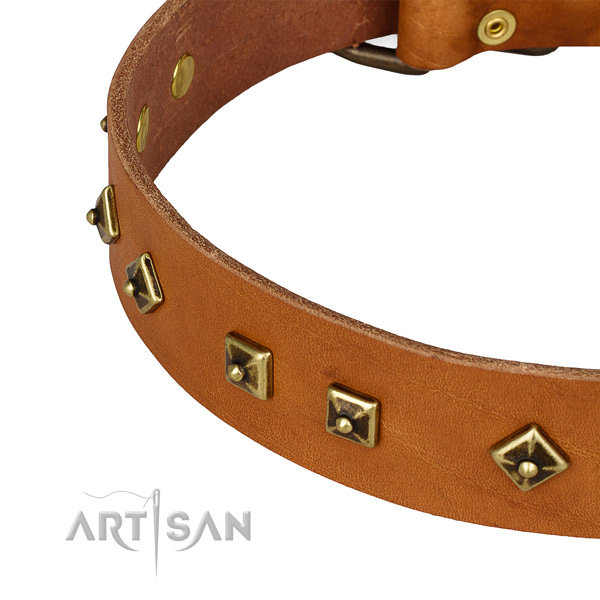 Top notch full grain natural leather collar for your beautiful pet