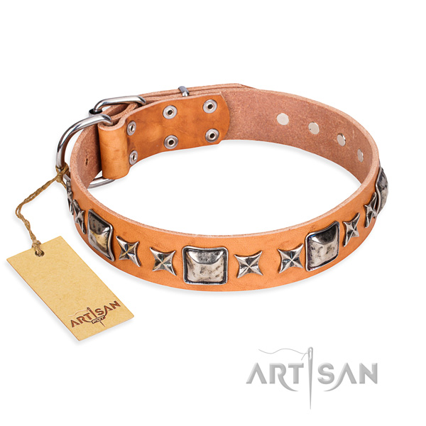 Everyday use dog collar of finest quality full grain genuine leather with adornments
