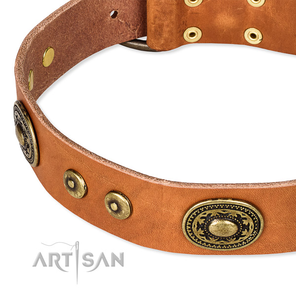 Natural genuine leather dog collar made of soft to touch material with adornments