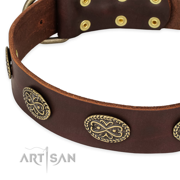Exceptional leather collar for your lovely canine