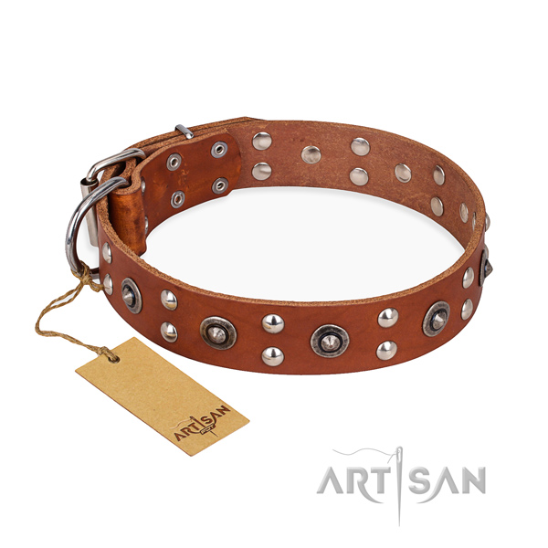 Everyday walking exquisite dog collar with reliable fittings