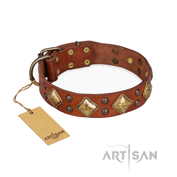 Comfy wearing unique dog collar with strong traditional buckle