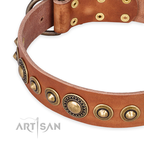 Quality full grain leather dog collar handcrafted for your stylish pet