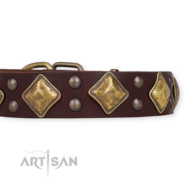 Natural leather dog collar with stunning strong studs