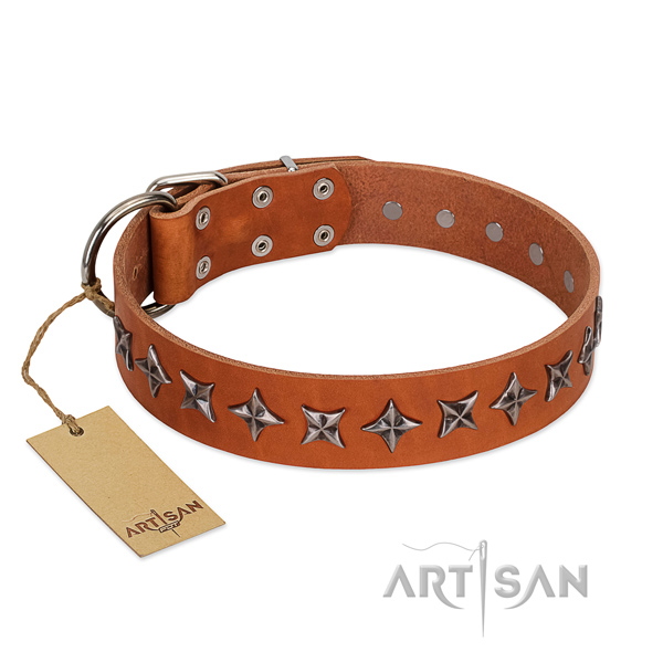 Stylish walking dog collar of fine quality natural leather with adornments