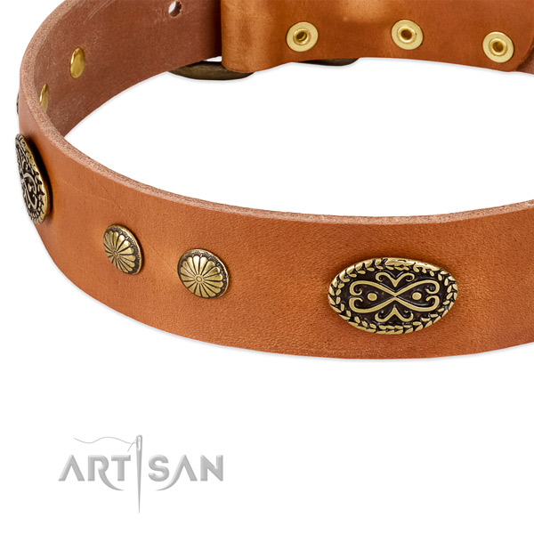 Reliable hardware on leather dog collar for your dog