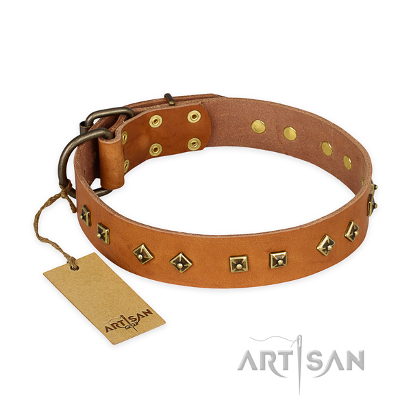 Exquisite leather dog collar with strong hardware