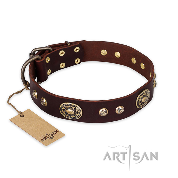 Exceptional full grain leather dog collar for walking