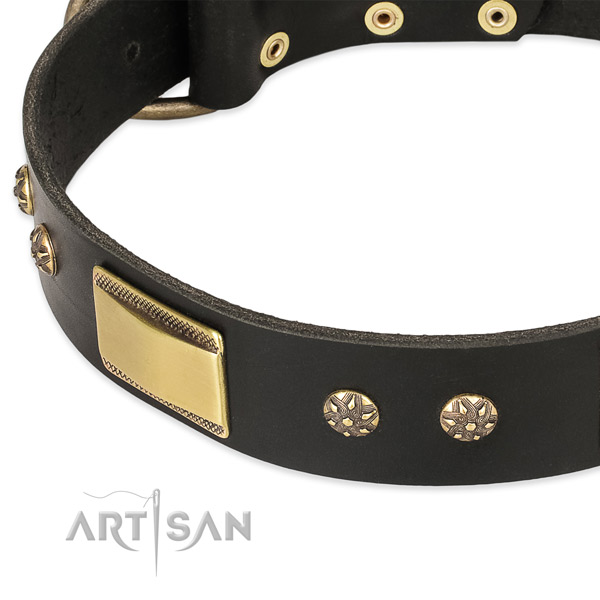 Strong fittings on full grain leather dog collar for your dog